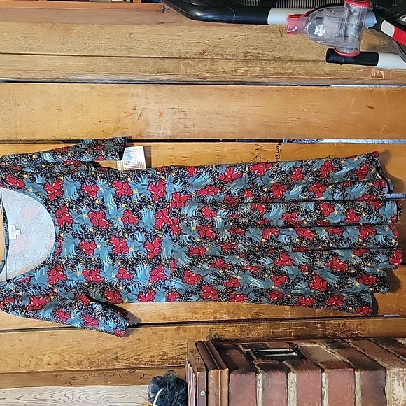 Lularoe Nicole ( dress) - Picture 2 of 3